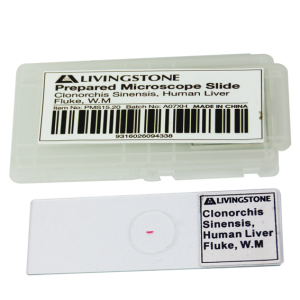 CLEARANCE, Livingstone Basic Level Prepared Slide, Plankton, Mixed, Whole Mount, Each