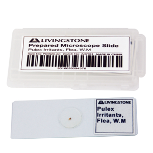 CLEARANCE, Livingstone Basic Level Prepared Slide, Plankton, Mixed, Whole Mount, Each