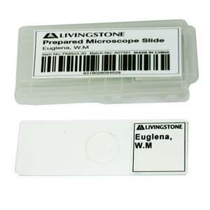 CLEARANCE, Livingstone Basic Level Prepared Slide, Plankton, Mixed, Whole Mount, Each
