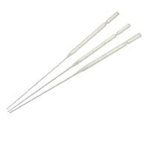 Livingstone Pasteur Pipette, 146mm or 5.75", Soda Lime Glass, 250/Box, 1000/Carton Carton