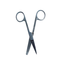 Livingstone Dissecting Scissors
