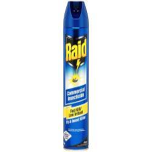 Raid Flying Insect Spray, Low Irritant, Fast Kill, Odourless, 350g, Each Each
