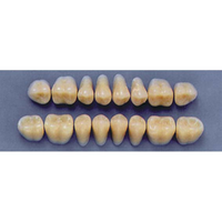 ULTRADENT POST. 29L/62 UPPER (1x8 CARD) Card