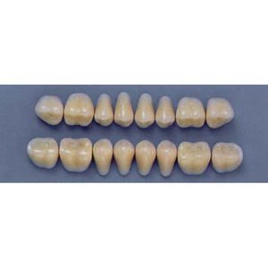 ULTRADENT POST. 29S/59 LOWER (1x8 CARD) Card