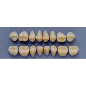 ULTRADENT POST 30L/77 UPPER (1x8 CARD) Card