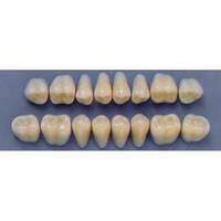 ULTRADENT POST. 31L/65 LOWER (1x8 CARD) Card