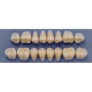 ULTRADENT POST. 31L/65 UPPER (1x8 CARD) Card