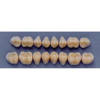 ULTRADENT POST. 31M/65 UPPER (1x8 CARD) Card