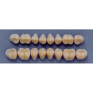 ULTRADENT POST. 31M/65 UPPER (1x8 CARD) Card