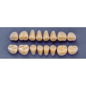 ULTRADENT POST. 31Z/59 LOWER (1x8 CARD) Card