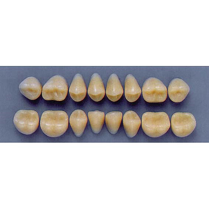 ULTRADENT POST 32L/62 UPPER (1x8 CARD) Card