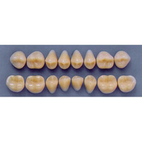 ULTRADENT POST 34M/77 LOWER (1x8 CARD) Card