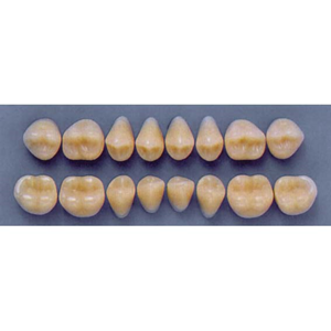 ULTRADENT POST 34M/77 LOWER (1x8 CARD) Card