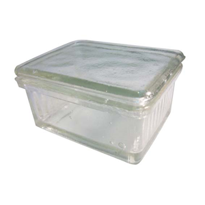 Staining Dish W Cover Glass 10 Slides 75x25mm C30-120 Each
