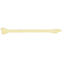 Livingstone Cervical Scraper (Cervical Spatula), Ayers Broad End, Biodegradable Wood, 500/Box Box