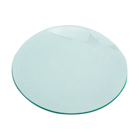 Livingstone Watch Glass, 100mm Diameter, 10/Pack Pack