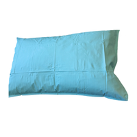 Livingstone Pillow with Blue Waterproof Cover Each