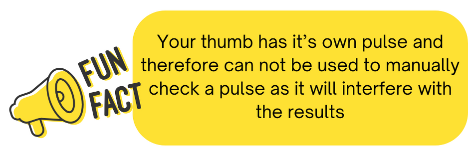 Fun fact about pulses