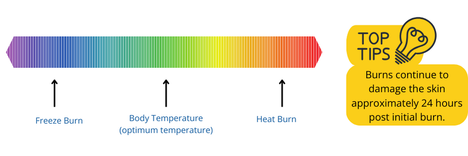 Body temperature and the impact of burns