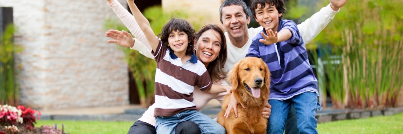 Tick Removal and Protection Guide: What You Need to Know